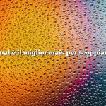 Qual è il miglior mais per scoppiare