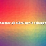 Quando toccare gli alberi per lo sciroppo d’acero