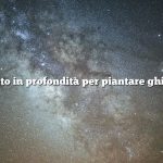 Quanto in profondità per piantare ghiande