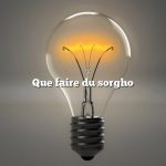 Que faire du sorgho