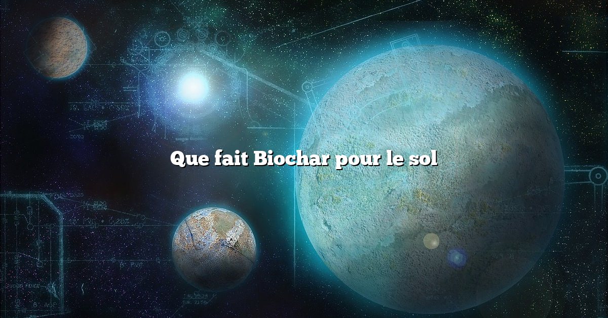 Que fait Biochar pour le sol