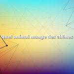 Quel animal mange des chênes