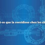 Qu’est-ce que la coccidiose chez les chèvres