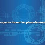 ¿Qué aspecto tienen los pines de encuesta?