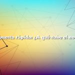 Respuesta rápida: ¿A qué sabe el nopal?