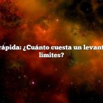 Respuesta rápida: ¿Cuánto cuesta un levantamiento de límites?
