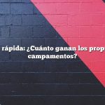 Respuesta rápida: ¿Cuánto ganan los propietarios de campamentos?