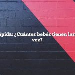 Respuesta rápida: ¿Cuántos bebés tienen los conejos a la vez?