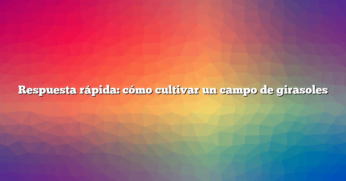 Respuesta rápida: cómo cultivar un campo de girasoles