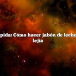 Respuesta rápida: Cómo hacer jabón de leche de cabra sin lejía