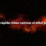 Respuesta rápida: Cómo rastrear el árbol genealógico