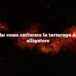 Risposta rapida: come catturare la tartaruga azzannatrice di alligatore