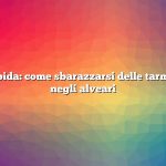 Risposta rapida: come sbarazzarsi delle tarme della cera negli alveari