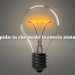 Risposta rapida: in che modo la caccia aiuta l’ambiente