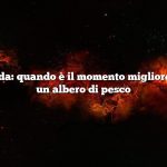 Risposta rapida: quando è il momento migliore per piantare un albero di pesco