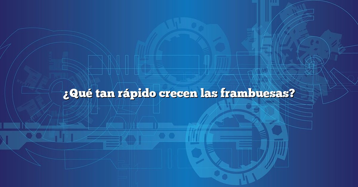 ¿Qué tan rápido crecen las frambuesas?