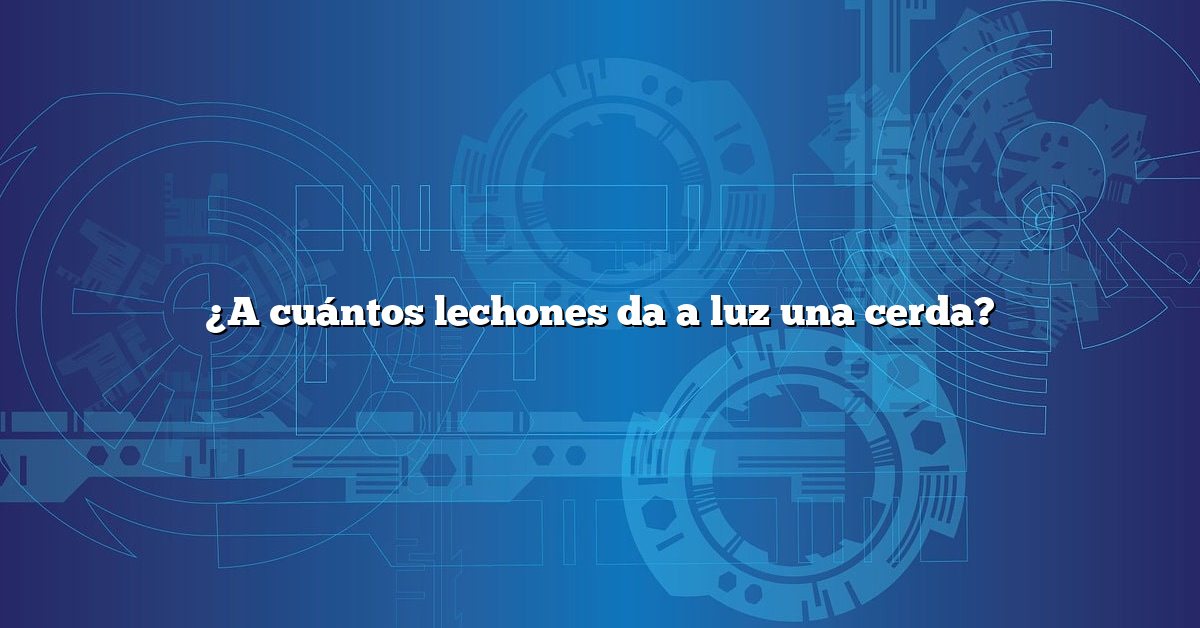 ¿A cuántos lechones da a luz una cerda?