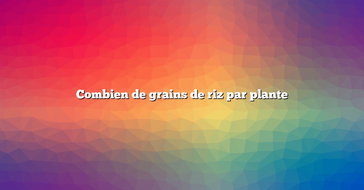 Combien de grains de riz par plante