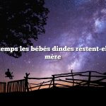 Combien de temps les bébés dindes restent-elles avec leur mère