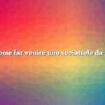 Come far venire uno scoiattolo da te