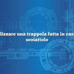Come realizzare una trappola fatta in casa per uno scoiattolo