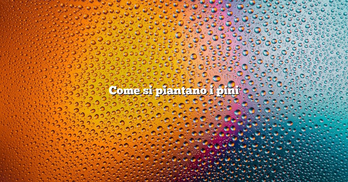 Come si piantano i pini