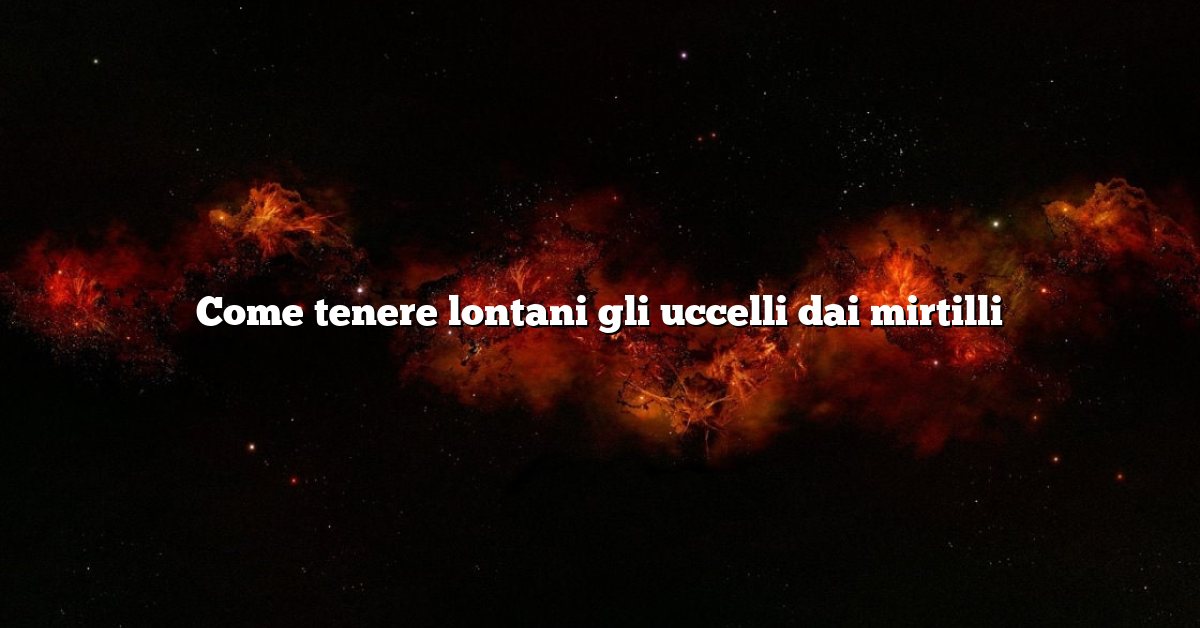 Come tenere lontani gli uccelli dai mirtilli