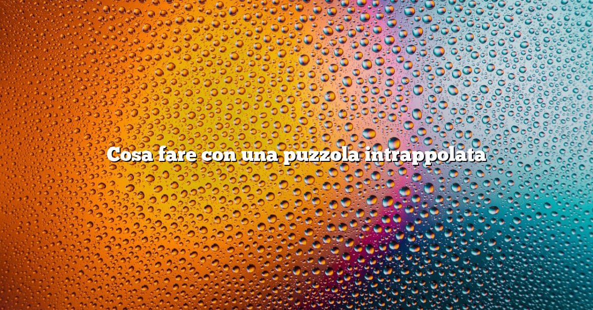 Cosa fare con una puzzola intrappolata