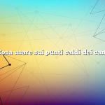 Cosa usare sui punti caldi dei cani