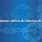 Cuándo plantar cultivos de cobertura de invierno