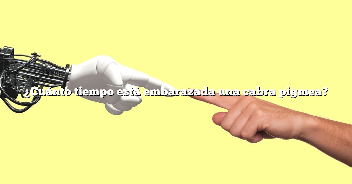 ¿Cuánto tiempo está embarazada una cabra pigmea?