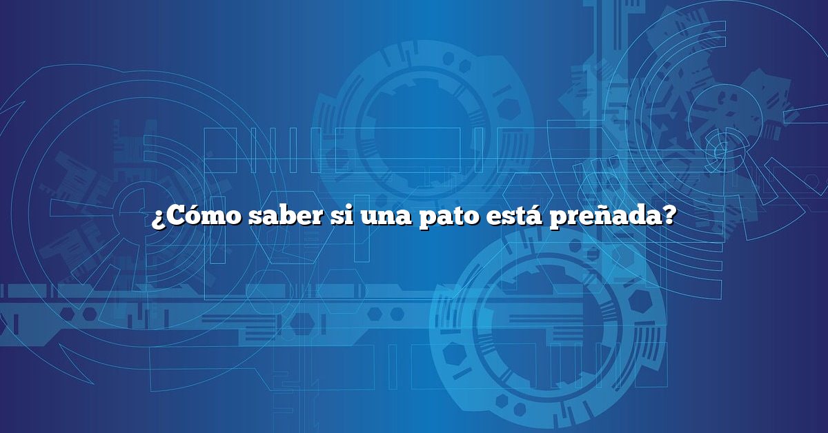 ¿Cómo saber si una pato está preñada?
