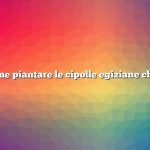 Domanda: Come piantare le cipolle egiziane che camminano