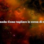 Domanda: Come tagliare le corna di capra