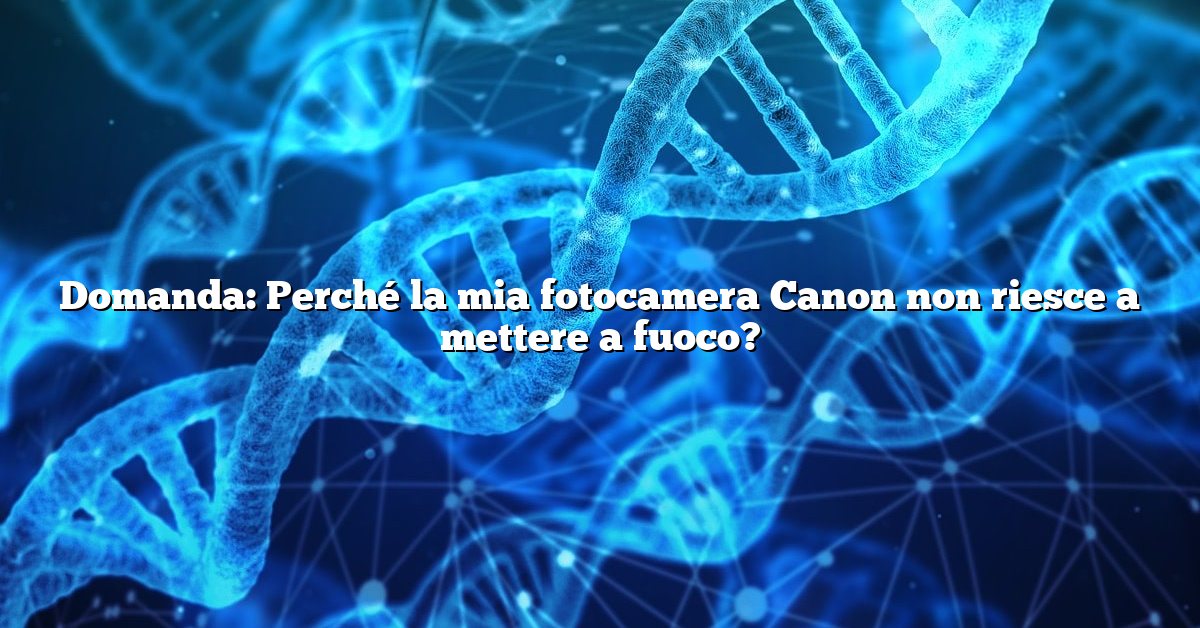 Domanda: Perché la mia fotocamera Canon non riesce a mettere a fuoco?