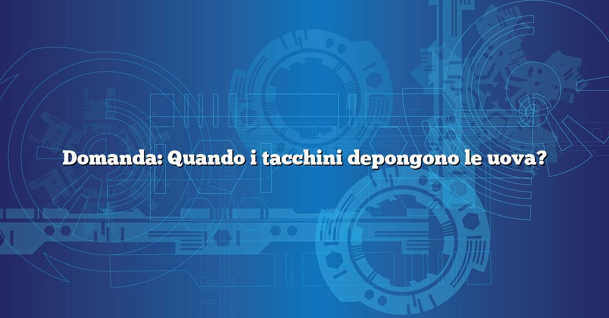 Domanda: Quando i tacchini depongono le uova?