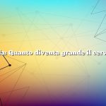 Domanda: Quanto diventa grande il cervo mulo?