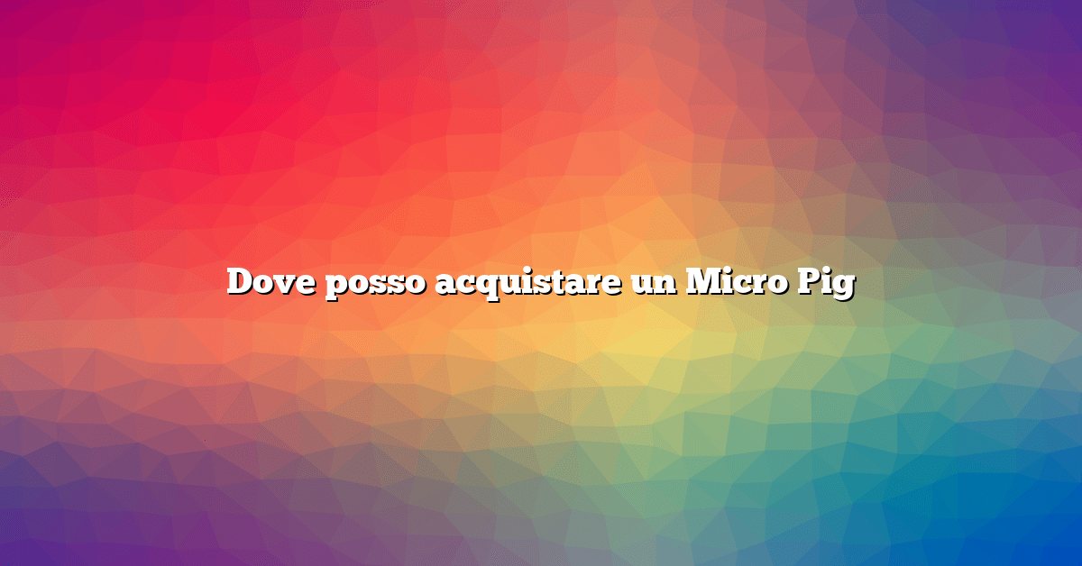 Dove posso acquistare un Micro Pig
