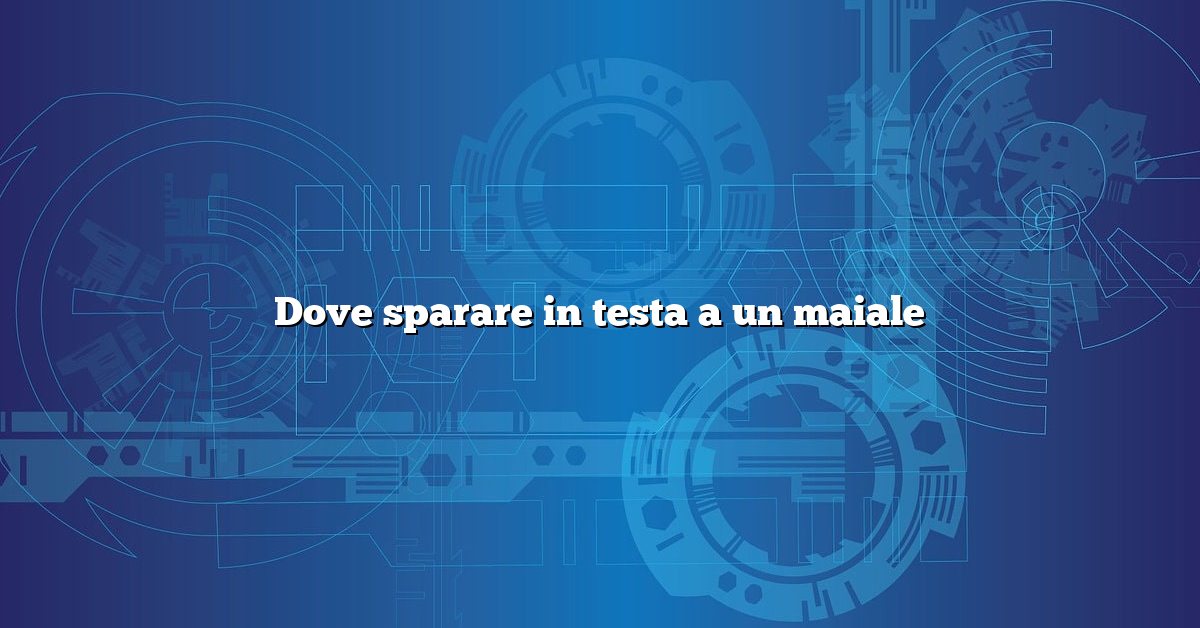 Dove sparare in testa a un maiale