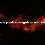 ¿Dónde puedo conseguir un mini cerdo?