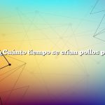 Pregunta: ¿Cuánto tiempo se crían pollos para carne?