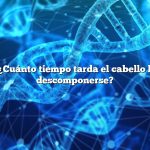 Pregunta: ¿Cuánto tiempo tarda el cabello humano en descomponerse?