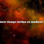 Pregunta: ¿Cuánto tiempo tardan en madurar los pimientos?