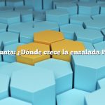 Pregunta: ¿Dónde crece la ensalada Poke?