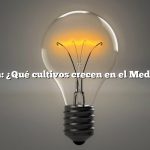 Pregunta: ¿Qué cultivos crecen en el Medio Oeste?