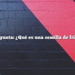 Pregunta: ¿Qué es una semilla de frijol?