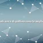 Quali uova di gallina sono le migliori
