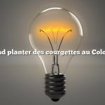 Quand planter des courgettes au Colorado