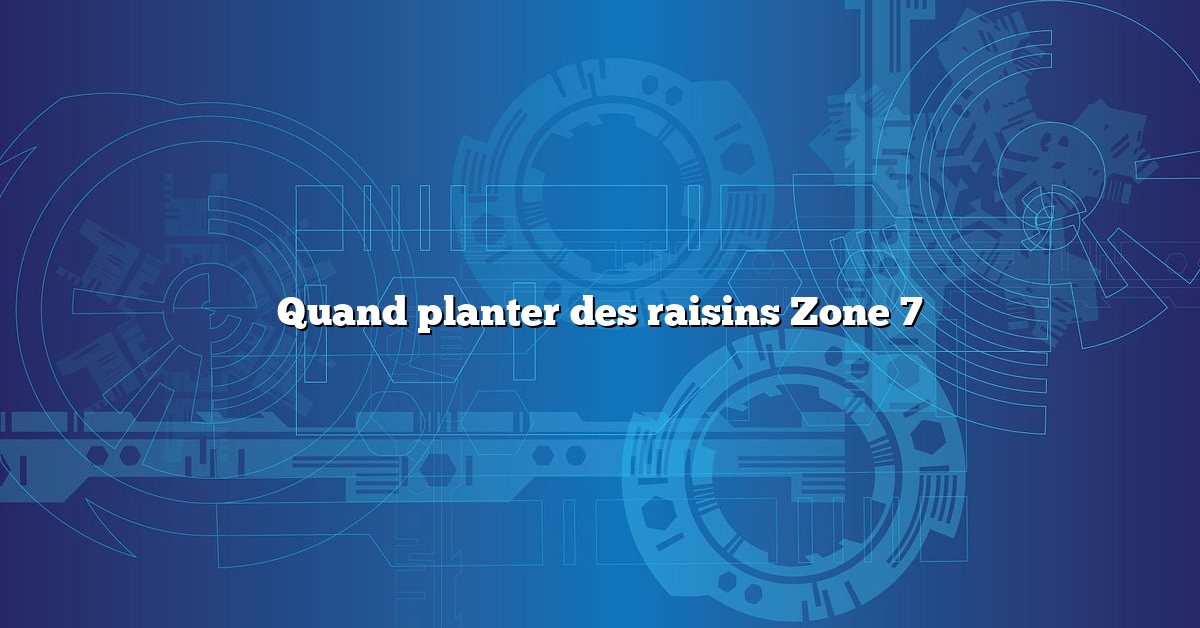 Quand planter des raisins Zone 7
