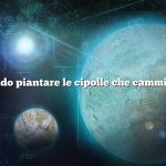 Quando piantare le cipolle che camminano